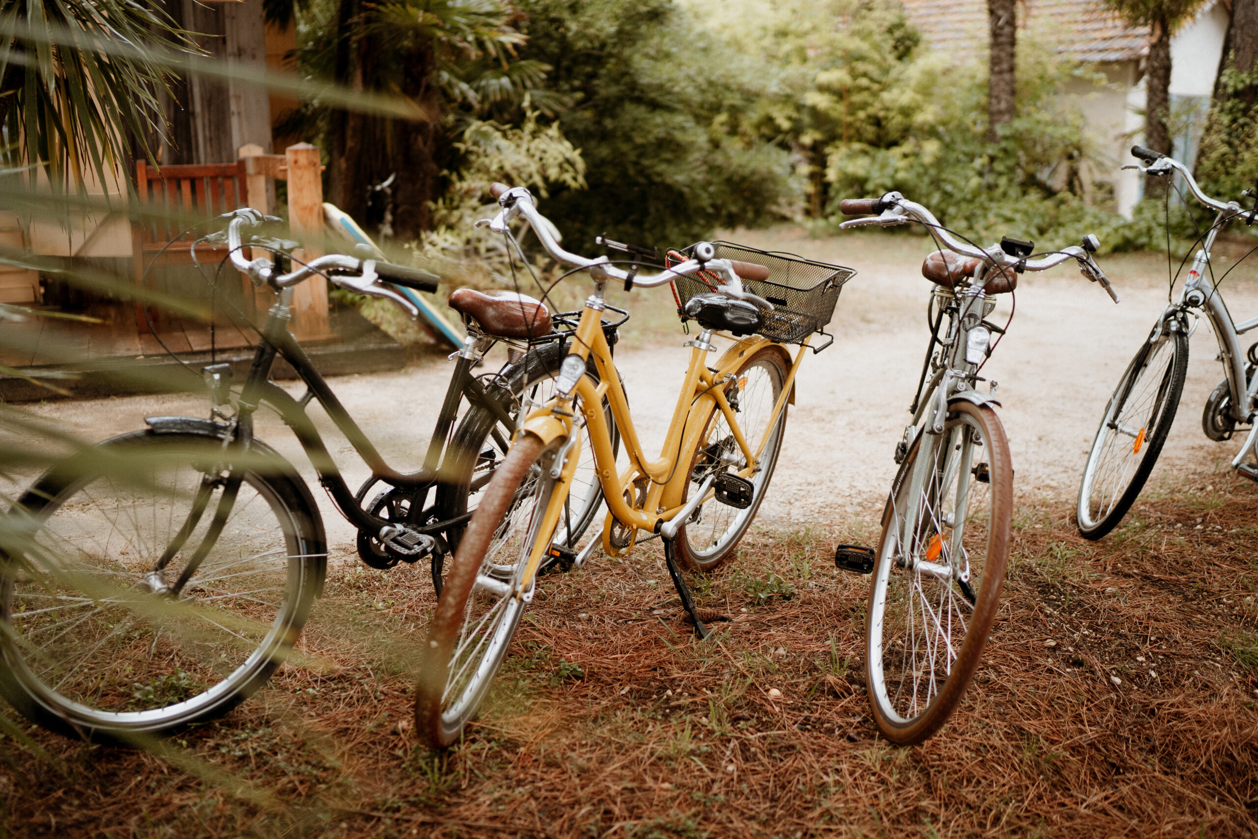 cap ferret beach activity bike rental bartherotte luxury vacation