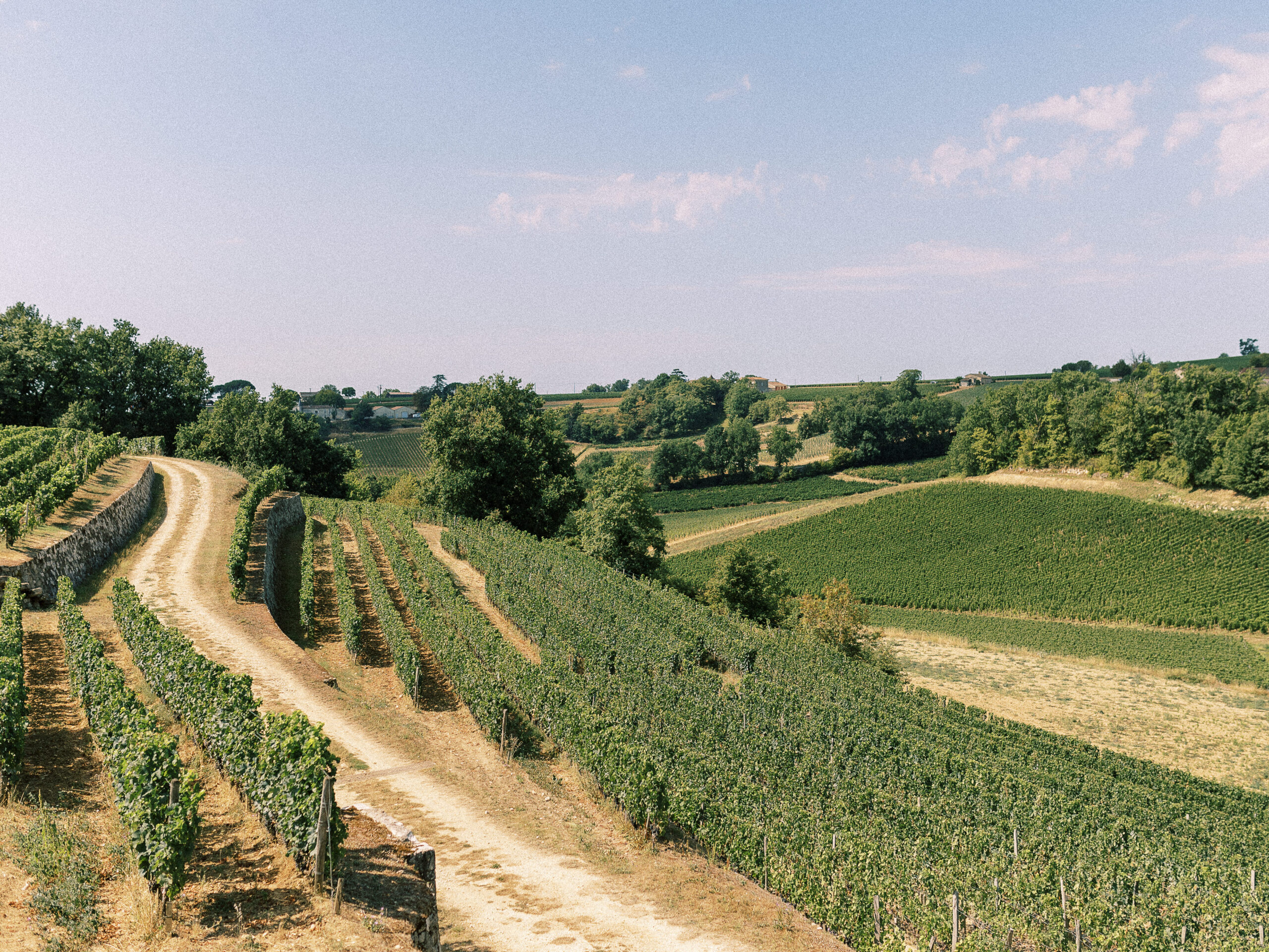 prestigious-location-rentals-chateau-in-Charente-incredible-location-near-bordeaux-french-cuisine-starred-chef-at-home-french-vineyard-prestige-french-win